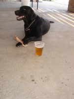 clicca qui per ingrandire la foto