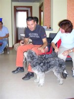 clicca qui per ingrandire la foto