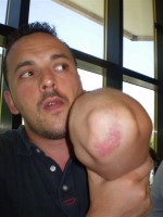 clicca qui per ingrandire la foto