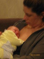 clicca qui per ingrandire la foto