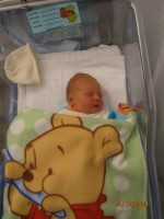 clicca qui per ingrandire la foto