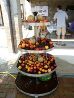 clicca qui per ingrandire la foto