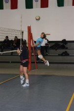 clicca qui per ingrandire la foto